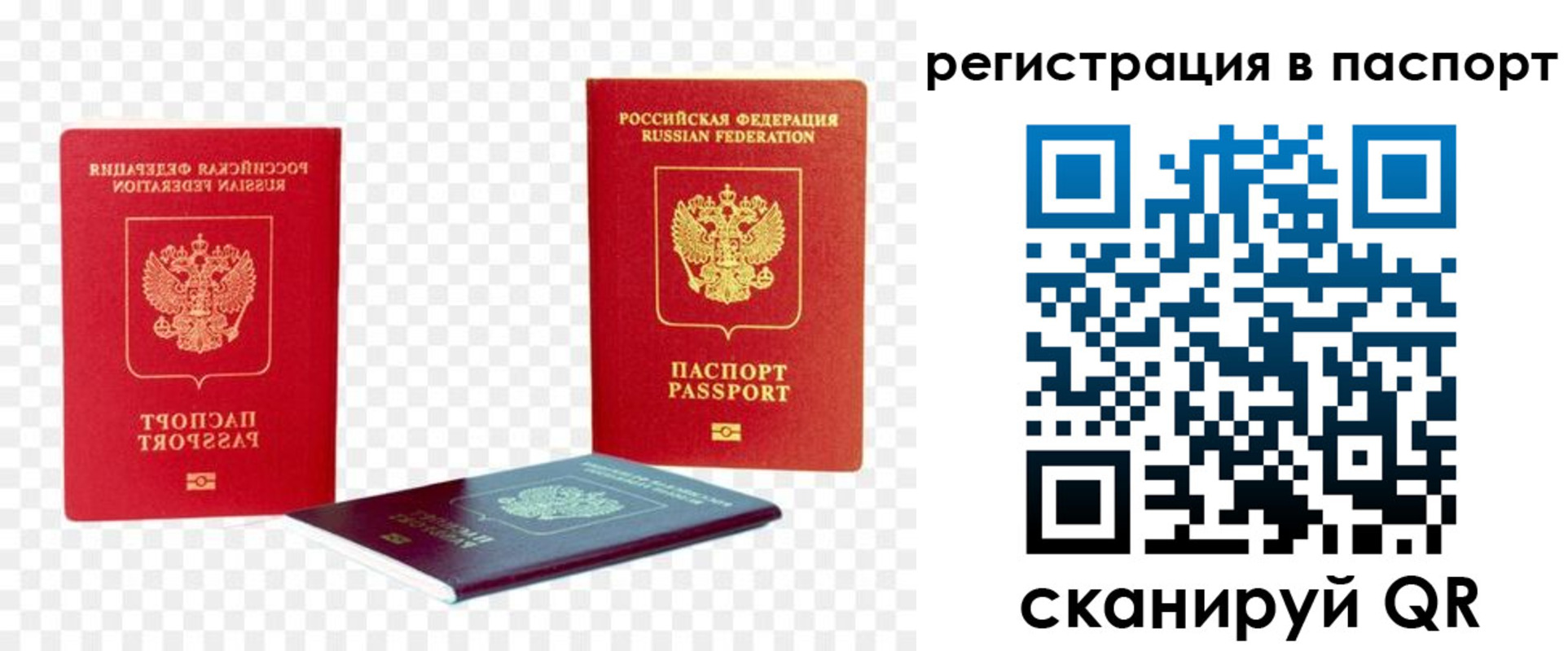 временная регистрация поиск в Алейске